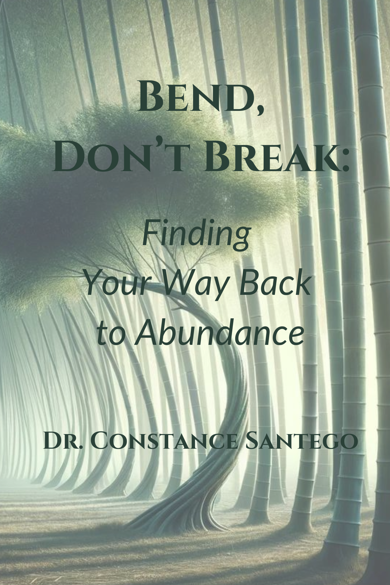 Cover of Bend, Don’t Break: Finding Your Way Back To Abundance