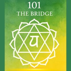 Heart Chakra 101 – Love, Compassion & Connection